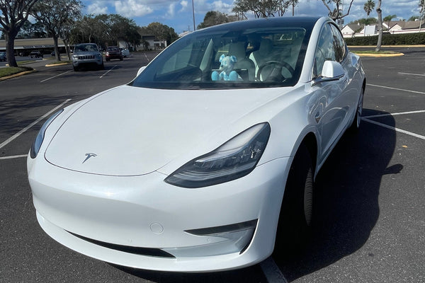 2020 Tesla Model 3 Standard Range Plus – Tampa EV Rental